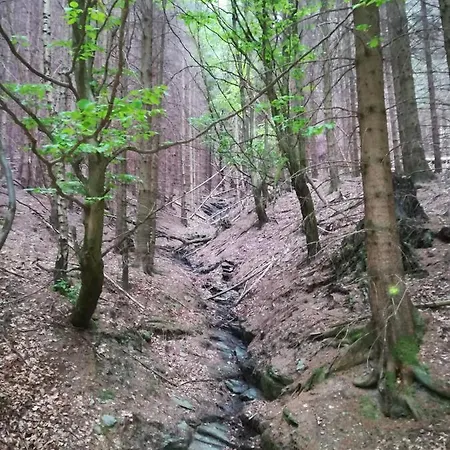 Ferienwohnung Schlossblick, In Olsberg-Brunskappel, In Der Naehe Von Winterberg
